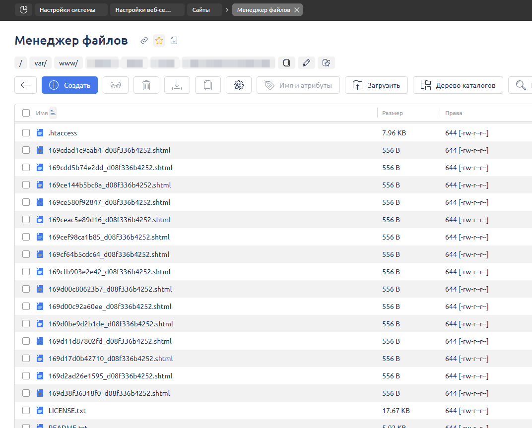 Файлы .shtml, загруженные злоумышленником